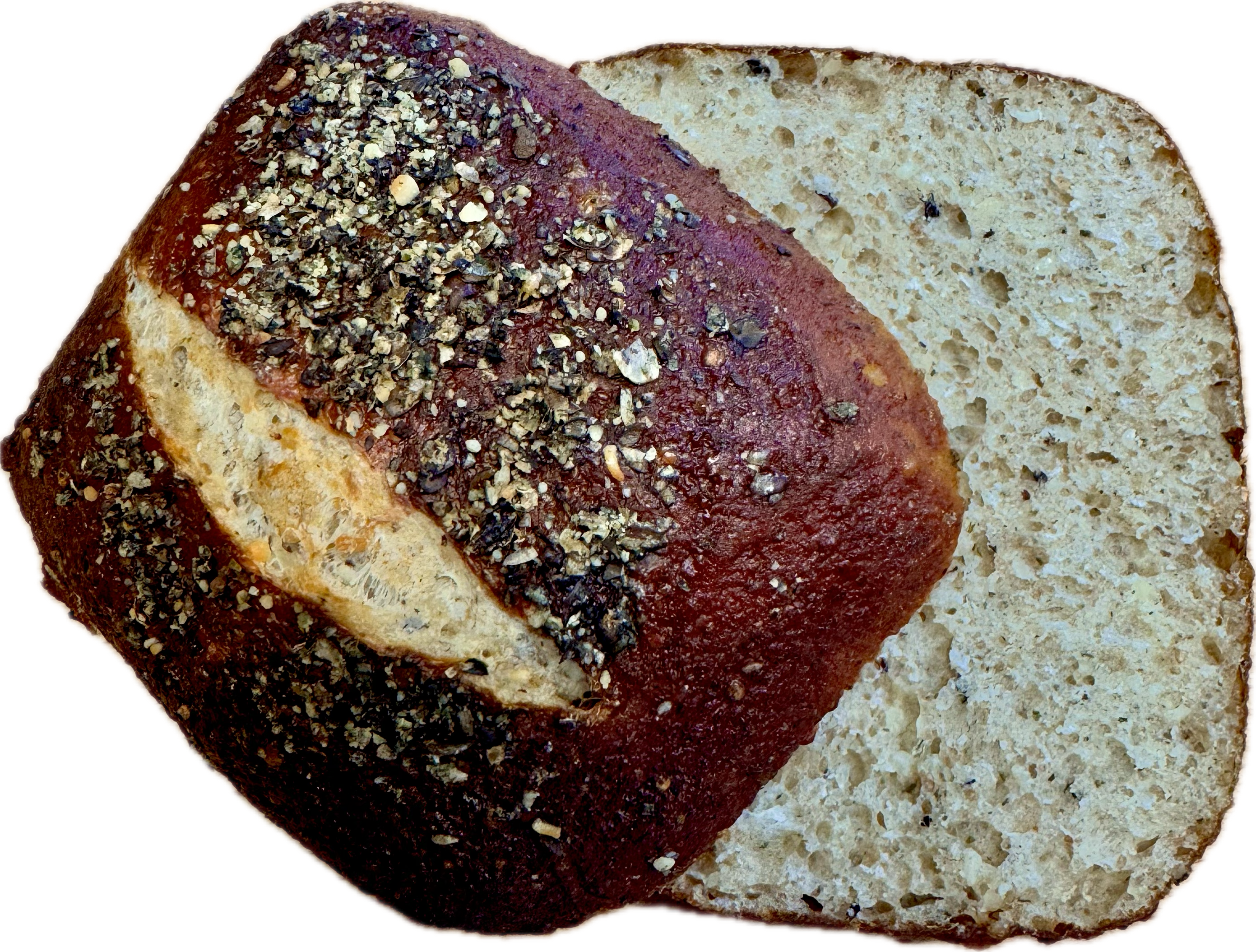 PANEUM 145 Hampa frallor