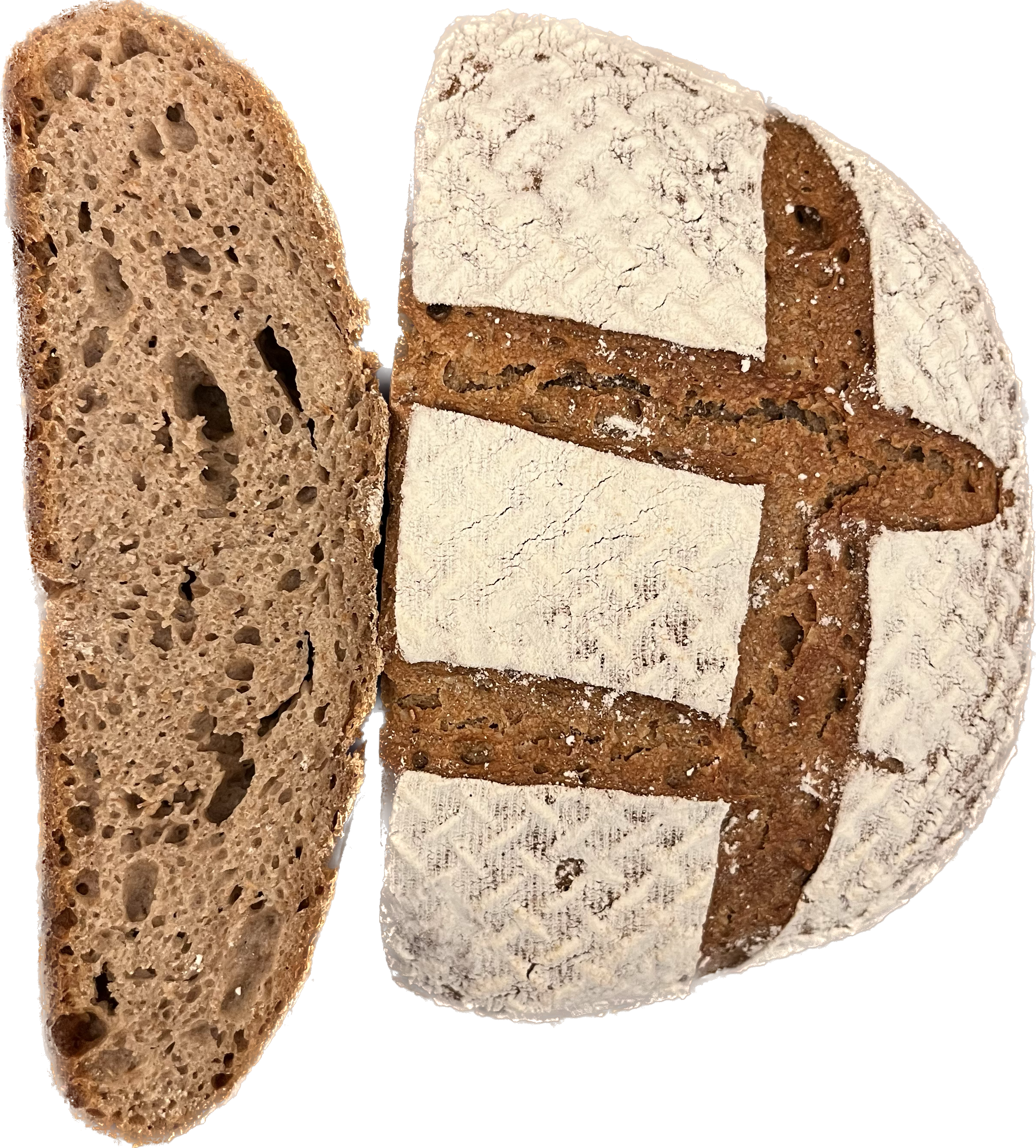 PANEUM 145 Gourmet bröd