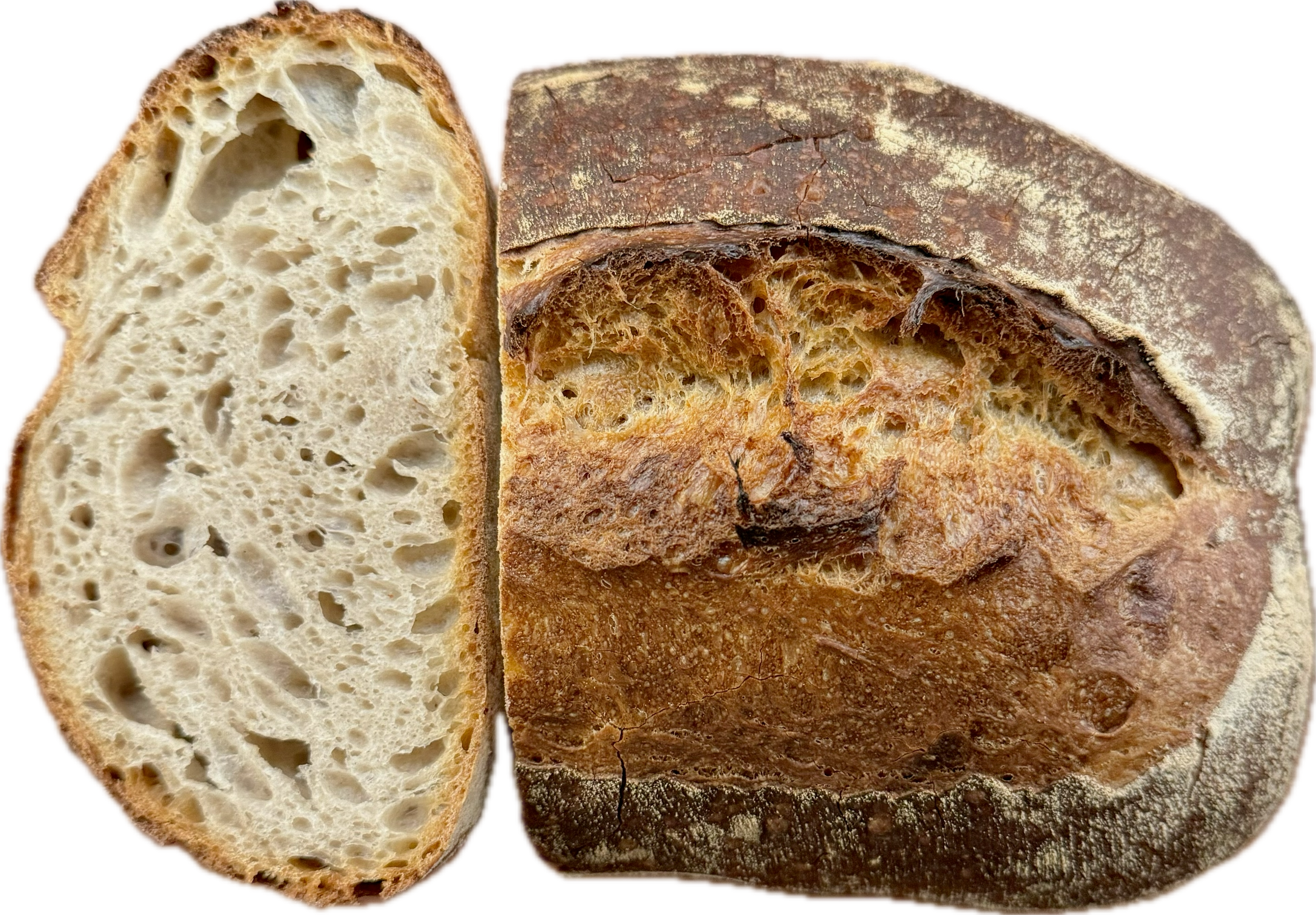 PANEUM 145 Lauffener Lantvetebröd