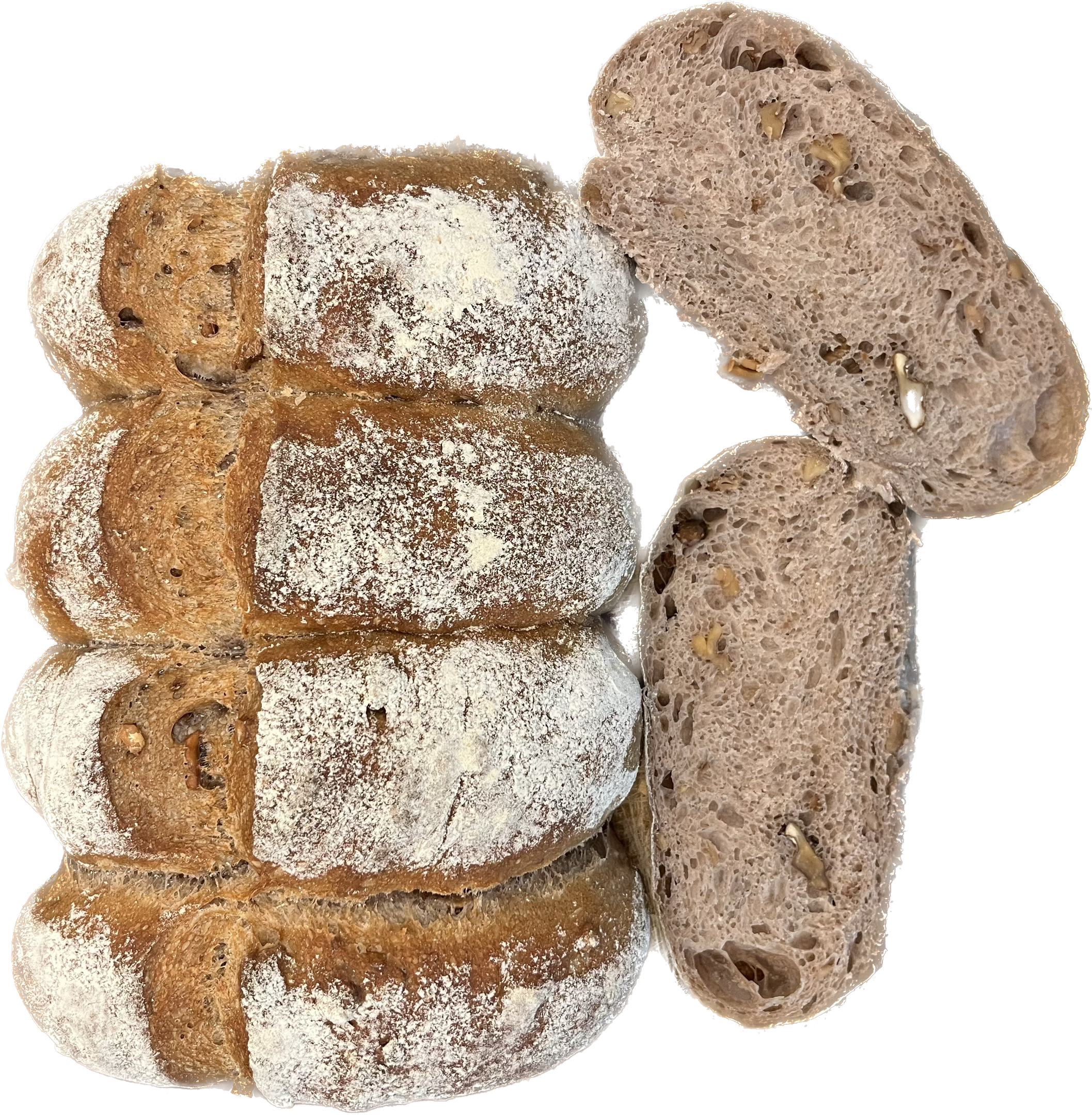 PANEUM 145 Tessiner Baumnussbrot