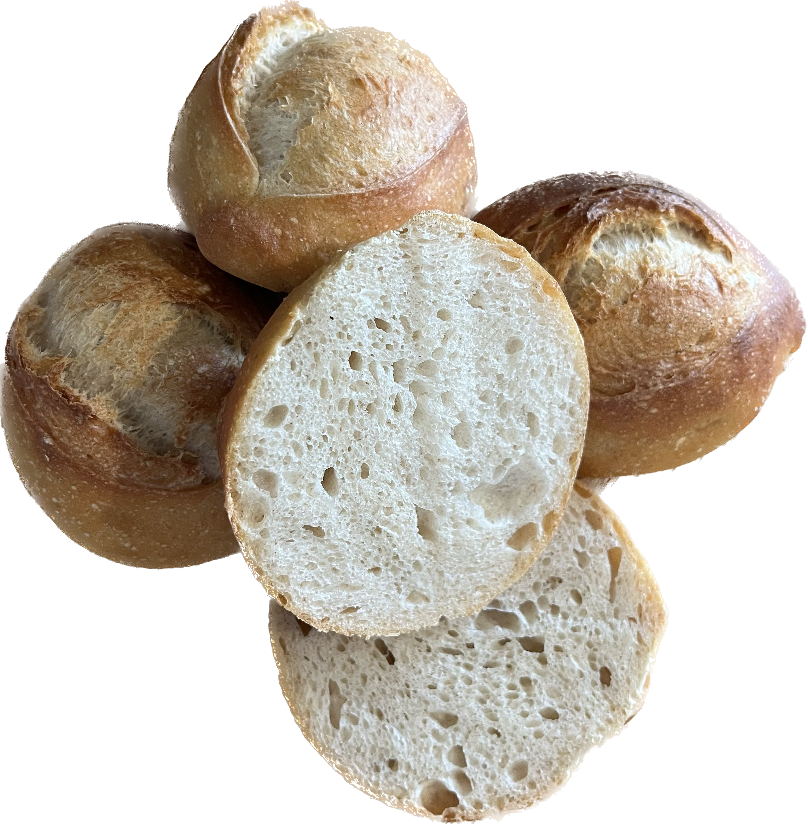 PANEUM 145 Krusties