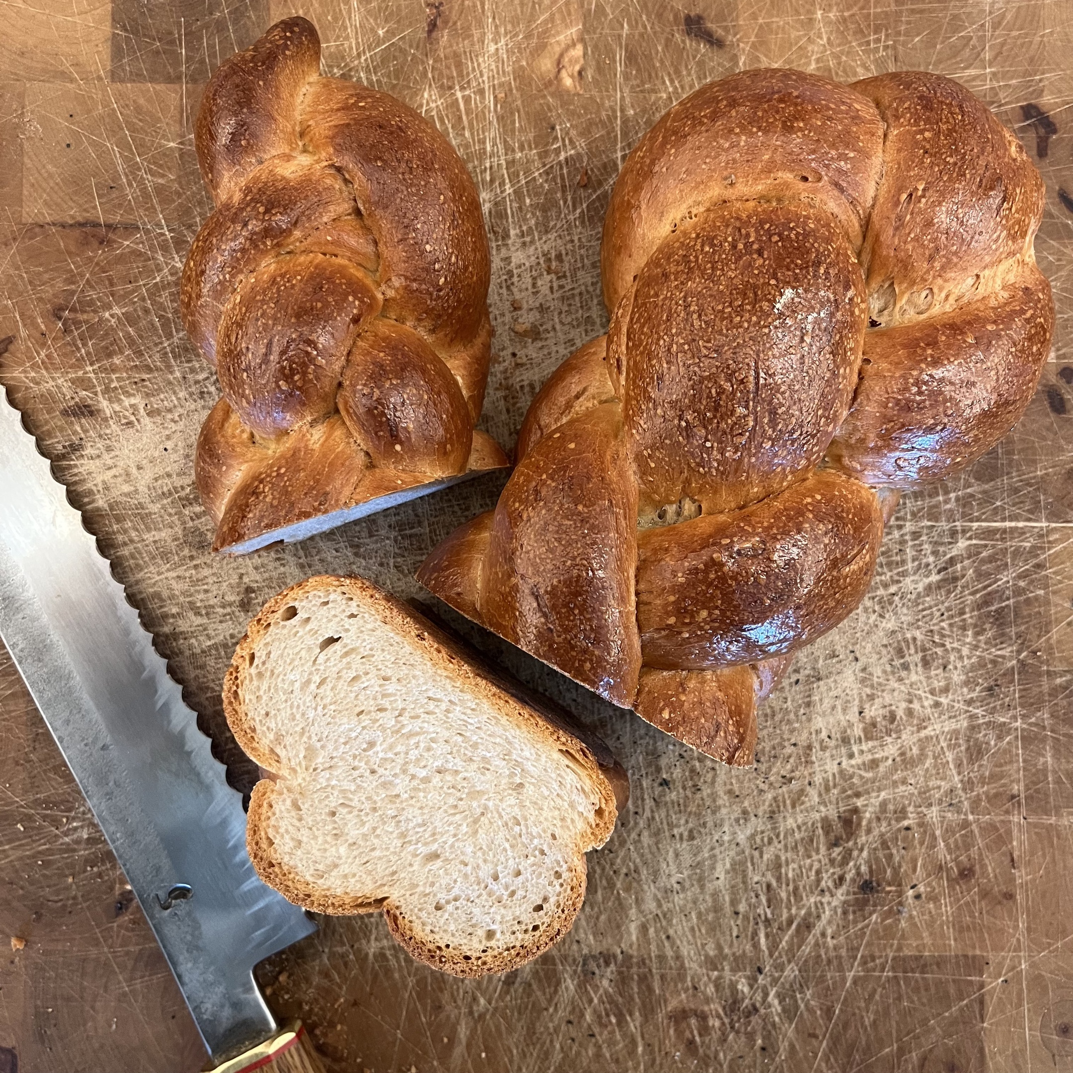 PANEUM 145 Berner Züpf