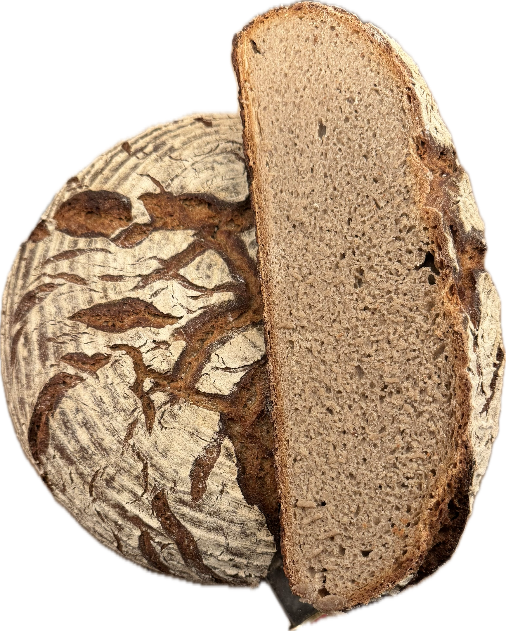 PANEUM 145 Franken Laib