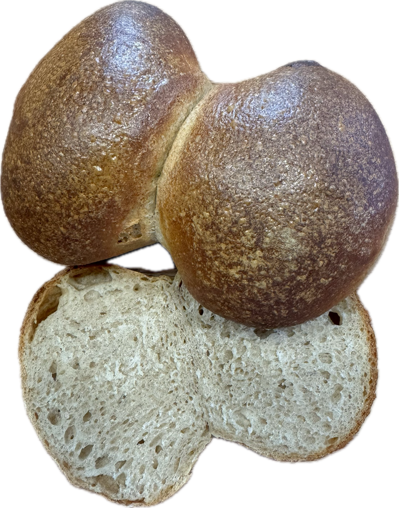 PANEUM 145 Röggelchen 